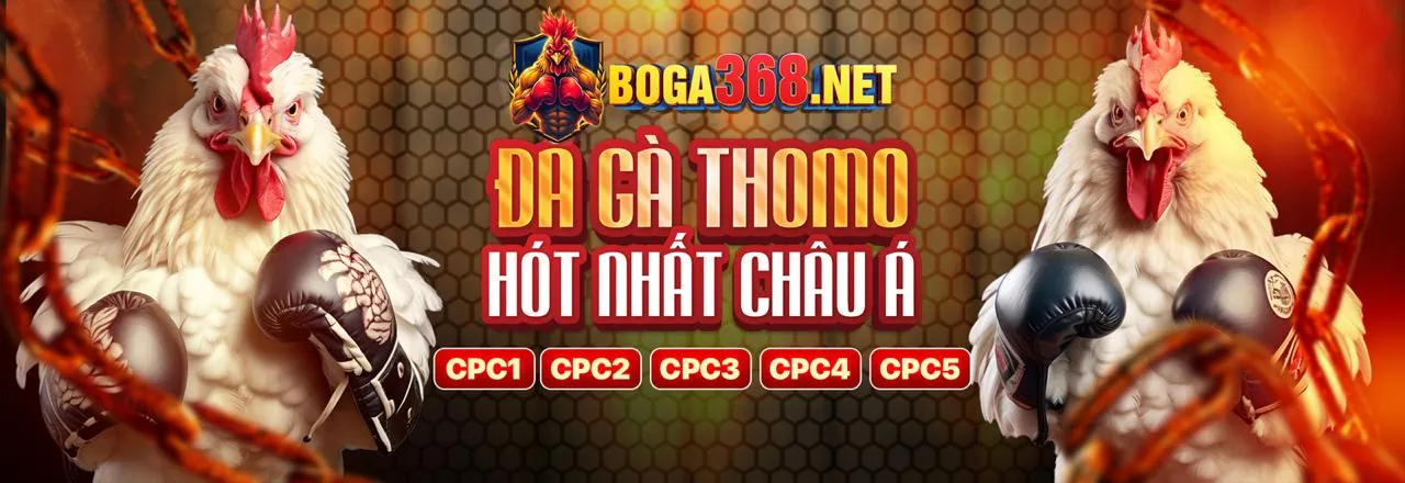 Tổng quan các chương trình khuyến mãi của anh em 888
